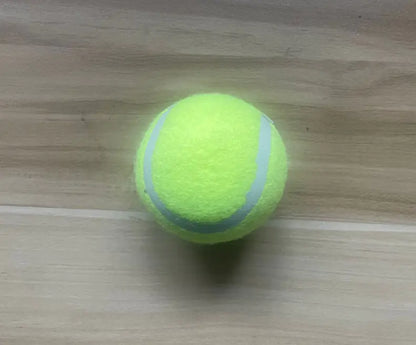 Pet Ball Launcher for Dog Training